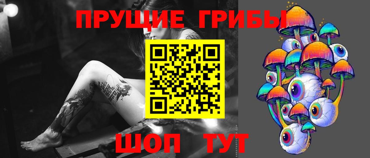 купить наркоту  Вход с VPN  Кольчугино  Галлюциногенные грибы Psilocybine cubensis 